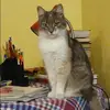 Отзыв от Яна Соколова